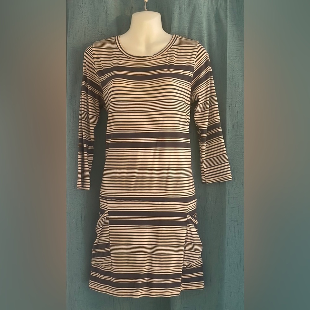 Fighting Eel Grey striped dress